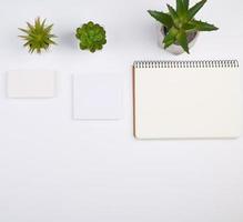 open spiral notebook with empty sheets, pots with green indoor plants on a white table photo