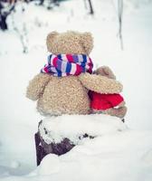 two teddy brown bears sit hugging on stump and look into the distance photo