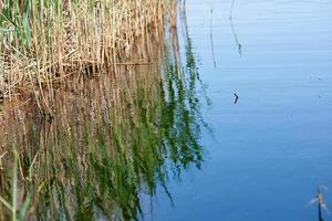 therapeutic lake with iodine and minerals photo