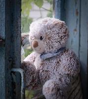 teddy bear sits on a windowsill and looks out the window photo