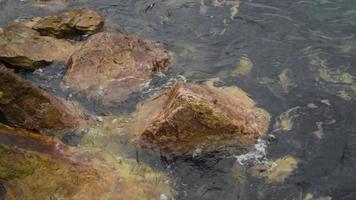 magnifique vidéo métrage de mousseux vagues s'écraser sur le rochers sur le rive. video