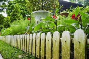 white fences in the garden photo