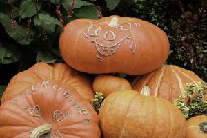 calabazas en alemania foto