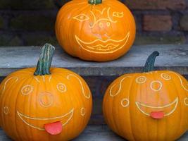 calabazas en alemania foto