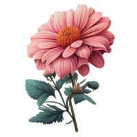 lindo elemento desenhado à mão de flor rosa, perfeito para decorar o dia dos namorados ou cartão de dia das mães. png