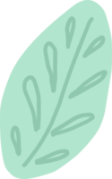 a simple leaf drawn from. plant leaf isolated png