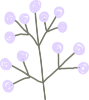 simple drawn twig with flowers. isolated twig png