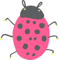 simple hand drawn from ladybug. isolated ladybug insect png