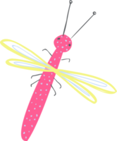 simple drawn from dragonfly. isolated dragonfly insect png