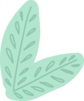 ein einfach Blatt gezeichnet aus. Pflanze Blatt isoliert png