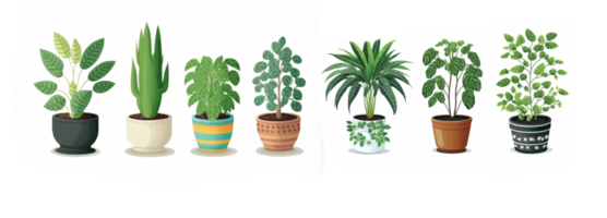 collection of Plants in pot on transparent background png