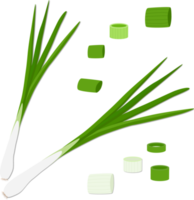 Sweet juicy tasty natural eco product onion png