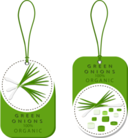 Sweet juicy tasty natural eco product onion png