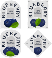 Sweet juicy tasty natural eco product blueberry png