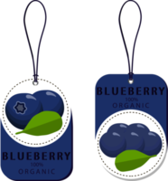 Sweet juicy tasty natural eco product blueberry png