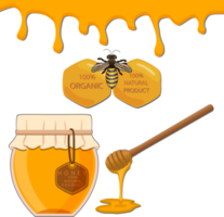 Various sweet tasty natural honey from honeycomb png