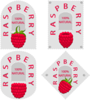 Sweet juicy tasty natural eco product raspberry png
