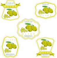 süß saftig schmackhaftes Natur-Öko-Produkt Olive png