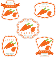 Sweet juicy tasty natural eco product carrot png