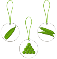 Sweet juicy tasty natural eco product peas png