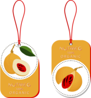 zoet sappig smakelijk natuurlijk eco Product noot png