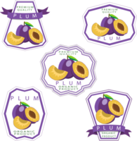 Sweet juicy tasty natural eco product plum png