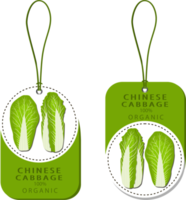 Sweet juicy tasty natural eco product cabbage png