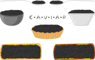 big set various types fish caviar, bread different size png