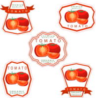 Sweet juicy tasty natural eco product tomato png