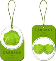 Sweet juicy tasty natural eco product cabbage png