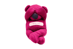 Pink teddy bear isolated on a transparent background png
