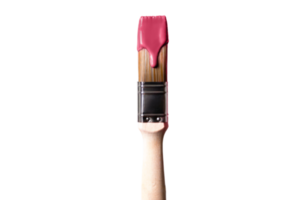 Brush with pink paint isolated on a transparent background png