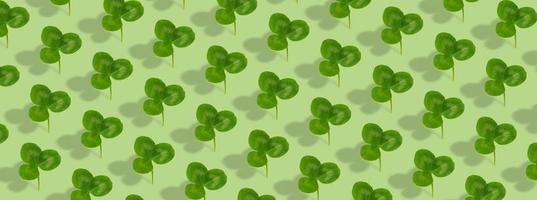Clover leaf pattern on colored background. Abstract banner background for St. Patrick's Day photo