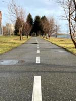 Blurred background. Bokeh. Path, trees, road, marking. A blurred nature park. photo