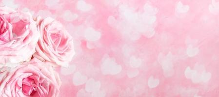 Romantic monochrome pink banner with roses with bokeh lights as flying white hearts. Copy space. photo