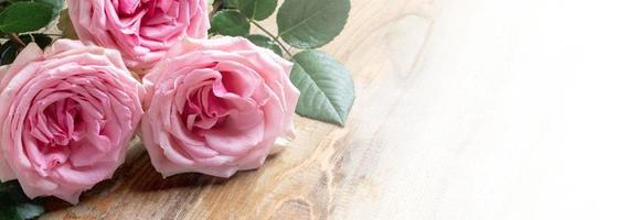 Bouquet of fresh pink roses with water drops close up on wooden board. Festive banner. Copy space. photo