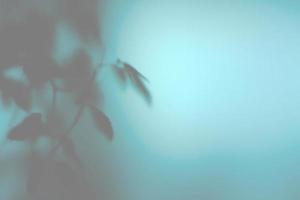 Dirty and Dusty on Glass Window Background with Leaf Shadow. photo