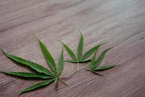Cannabis leaves on brown wooden background. photo