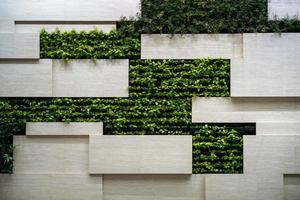 Wall in modern interior with blocks and vertical garden. photo