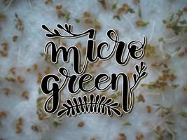 Lettering on Microgreens growing background.  micro green sprouts seedling photo