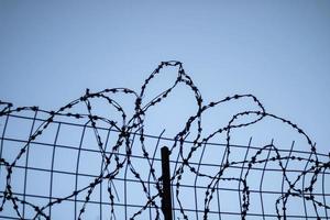 barbed wire and the edge of the lattice against the sky. horizontal photo of protected area