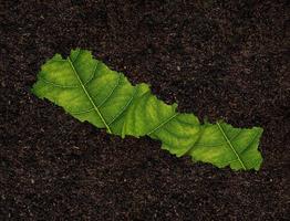 Nepal map made of green leaves on soil background ecology concept photo