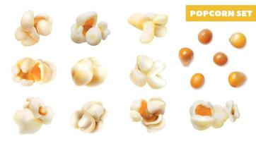 Realistic Popcorn Grains Set vector