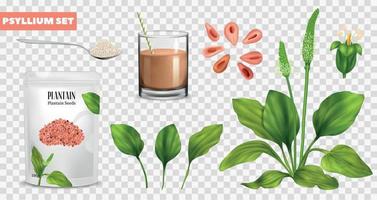 Realistic Psyllium Transparent Set vector