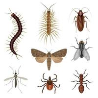 perjudicial insectos dibujos animados icono conjunto vector