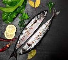 Two fresh mackerel in spices photo