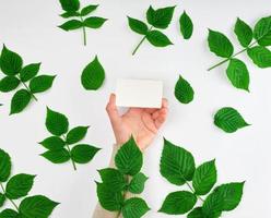 female hand holding a stack of white empty paper business cards and fresh green leaves of raspberry photo