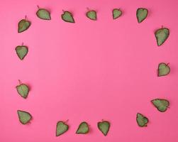 fresh green leaves on a pink background photo