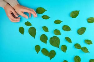 two female hands of a young girl with smooth skin and scattered green leaves photo
