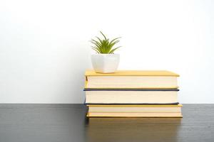 stack books on a black table, on top a ceramic pot with a green plant photo